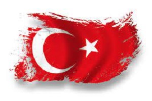 ترکی استانبولی