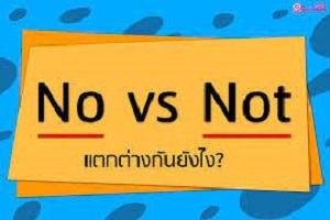 تفاوت بین NO و NOTدر زبان انگلیسی