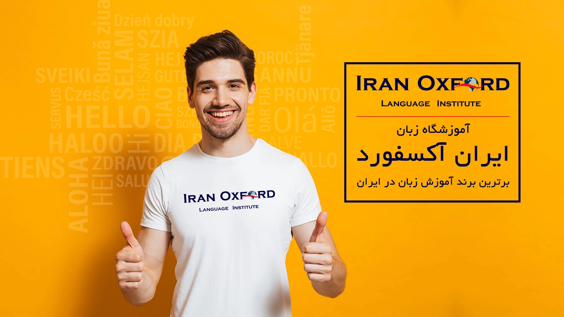 بهترین مرکز زبان هلندی در تهران